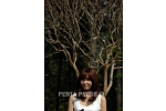 pentapress