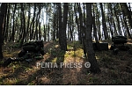 pentapress